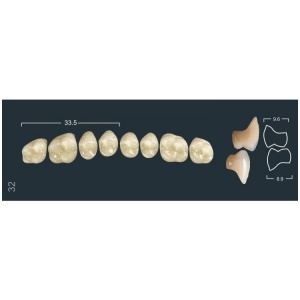 Зубы Ivocryl - жевательные верхние, фасон 32 (8шт.), Ivoclar