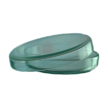 Чашка Петри (100*20 мм), Стар Гласс