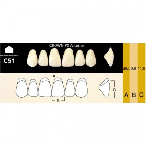 Crown PX фронтальные верхние, фасон C51 (6шт.) Yamahachi