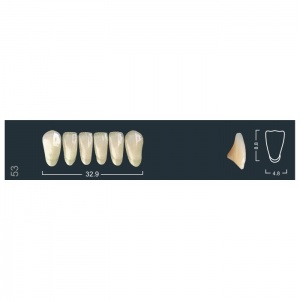 Зубы Ivocryl - фронтальные нижние, фасон 53 (6шт.), Ivoclar