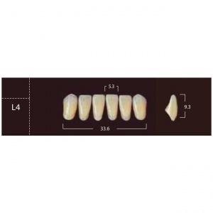 New Ace Anterior - фронтальные нижние, фасон L4 (6шт.) Yamahachi