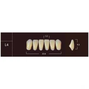 New Ace Anterior - фронтальные нижние, фасон L4 (6шт.) Yamahachi