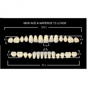 Gloria New Ace полный гарнитур фронт верх T2, фронт низ L2, боковые М30 (28шт.), Yamahachi