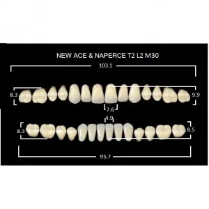 Gloria New Ace полный гарнитур фронт верх T2, фронт низ L2, боковые М30 (28шт.), Yamahachi