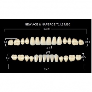 Gloria New Ace полный гарнитур фронт верх T1, фронт низ L2, боковые М30 (28шт.), Yamahachi