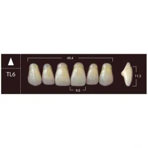 New Ace Anterior - фронтальные верхние, фасон TL6 (6шт.) Yamahachi