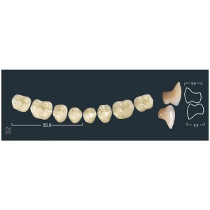 Зубы Ivocryl - жевательные нижние, фасон 32 (8шт.), Ivoclar
