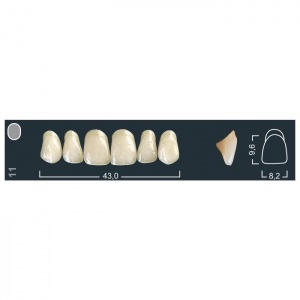 Зубы Ivocryl - фронтальные верхние, фасон 11 (6шт.), Ivoclar