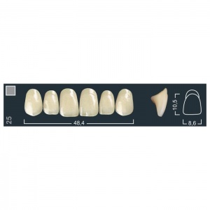 Зубы Ivocryl - фронтальные верхние, фасон 25 (6шт.), Ivoclar