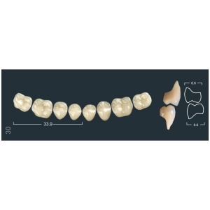 Зубы Ivocryl - жевательные нижние, фасон 30 (8шт.), Ivoclar