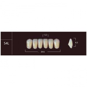 New Ace Anterior - фронтальные нижние, фасон S4L (6шт.) Yamahachi