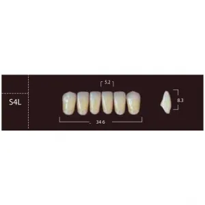 New Ace Anterior - фронтальные нижние, фасон S4L (6шт.) Yamahachi
