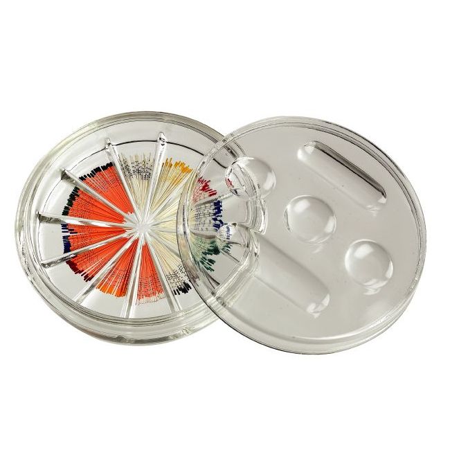 Glass Endo Organizer - чашка петри 12 секций (1шт.), DiaDent