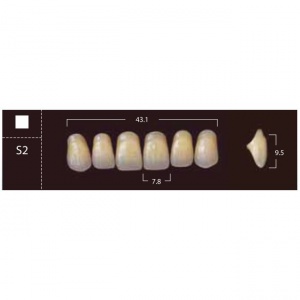 New Ace Anterior - фронтальные верхние, фасон S2 (6шт.) Yamahachi