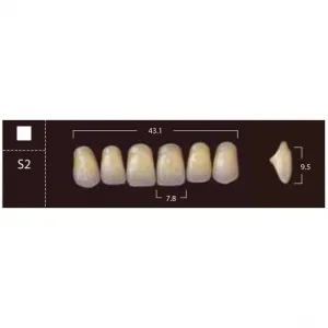 New Ace Anterior - фронтальные верхние, фасон S2 (6шт.) Yamahachi