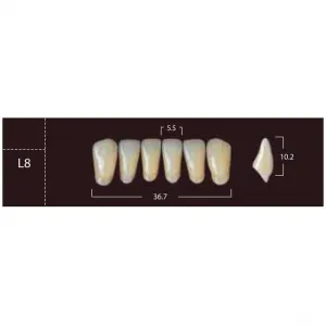 New Ace Anterior - фронтальные нижние, фасон L8 (6шт.) Yamahachi