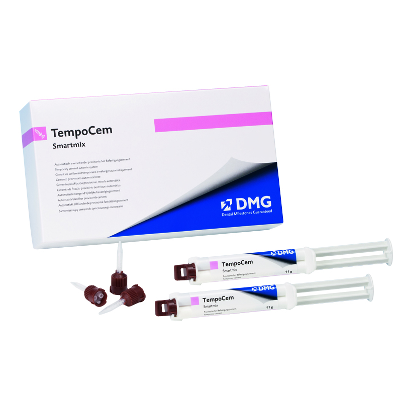 TempoCem NE Smartmix (2*11гр.), DMG — фото товара