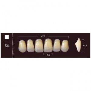 New Ace Anterior - фронтальные верхние, фасон S6 (6шт.) Yamahachi