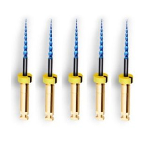 T-Flex (первичное эндо), EuroFile