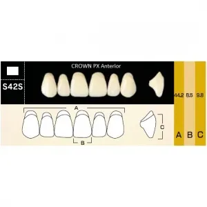 Crown PX фронтальные верхние, фасон S42S (6шт.) Yamahachi