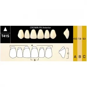 Crown PX фронтальные верхние, фасон T41S (6шт.) Yamahachi