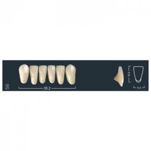 Зубы Ivocryl - фронтальные нижние, фасон 56 (6шт.), Ivoclar