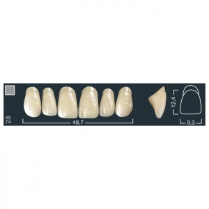 Зубы Ivocryl - фронтальные верхние, фасон 28 (6шт.), Ivoclar