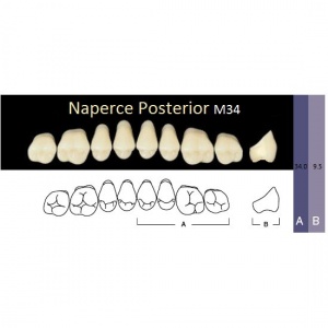 Naperce Posterior - боковые верхние, фасон M34 (8шт.) Yamahachi