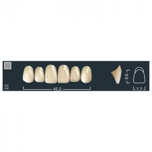 Зубы Ivocryl - фронтальные верхние, фасон 22 (6шт.), Ivoclar