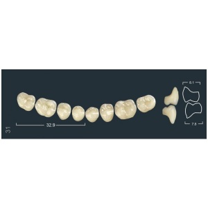 Зубы Ivocryl - жевательные нижние, фасон 31 (8шт.), Ivoclar