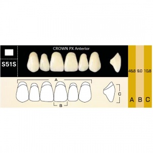 Crown PX фронтальные верхние, фасон S51S (6шт.) Yamahachi