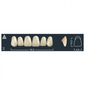 Зубы Ivocryl - фронтальные верхние, фасон 34 (6шт.), Ivoclar