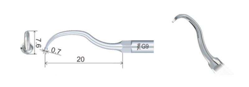 Насадка G9 - для скалеров Woodpecker (подходит к UDS/EMS), EuroFile — фото товара