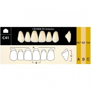 Crown PX фронтальные верхние, фасон C41 (6шт.) Yamahachi
