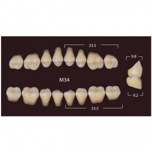 New Million Posterior - 20 боковых гарнитуров в боксе, фасон M34 (320шт.) Yamahachi