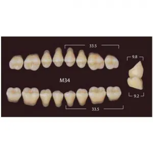 New Million Posterior - 20 боковых гарнитуров в боксе, фасон M34 (320шт.) Yamahachi