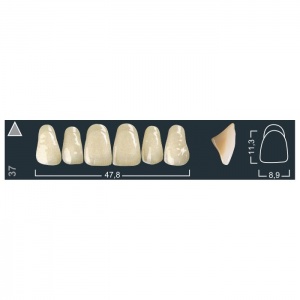 Зубы Ivocryl - фронтальные верхние, фасон 37 (6шт.), Ivoclar