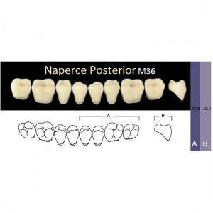 Naperce Posterior - боковые нижние, фасон M36 (8шт.) Yamahachi