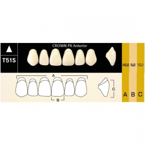 Crown PX фронтальные верхние, фасон T51S (6шт.) Yamahachi