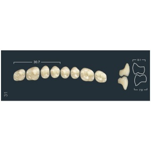 Зубы Ivocryl - жевательные верхние, фасон 31 (8шт.), Ivoclar
