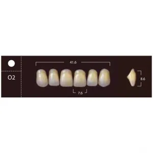 New Ace Anterior - фронтальные верхние, фасон O2 (6шт.) Yamahachi