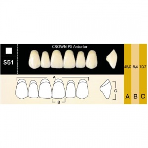 Crown PX фронтальные верхние, фасон S51 (6шт.) Yamahachi
