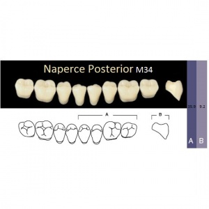 Naperce Posterior - боковые нижние, фасон M34 (8шт.) Yamahachi