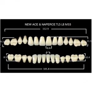 Gloria New Ace полный гарнитур фронт верх TL5, фронт низ L8, боковые М33 (28шт.), Yamahachi