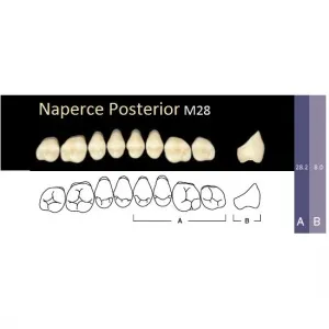 Naperce Posterior - боковые верхние, фасон M28 (8шт.) Yamahachi