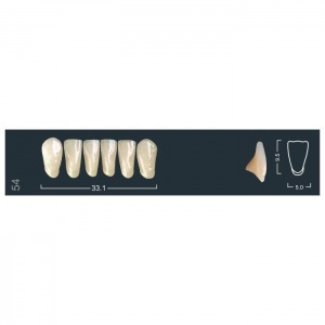 Зубы Ivocryl - фронтальные нижние, фасон 54 (6шт.), Ivoclar