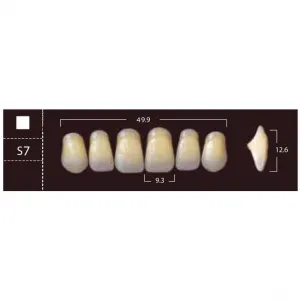 New Ace Anterior - фронтальные верхние, фасон S7 (6шт.) Yamahachi