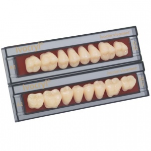 Зубы Ivocryl - жевательные