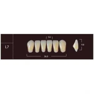 New Ace Anterior - фронтальные нижние, фасон L7 (6шт.) Yamahachi