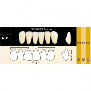 Crown PX фронтальные нижние, фасон N81 (6шт.) Yamahachi